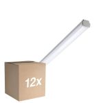Mehrfachpackung 12x Philips LED Feuchtraumleuchte WT060C 28W 3400lm - 840 Kaltweiß | 150cm